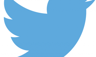 Twitter_logo_blue